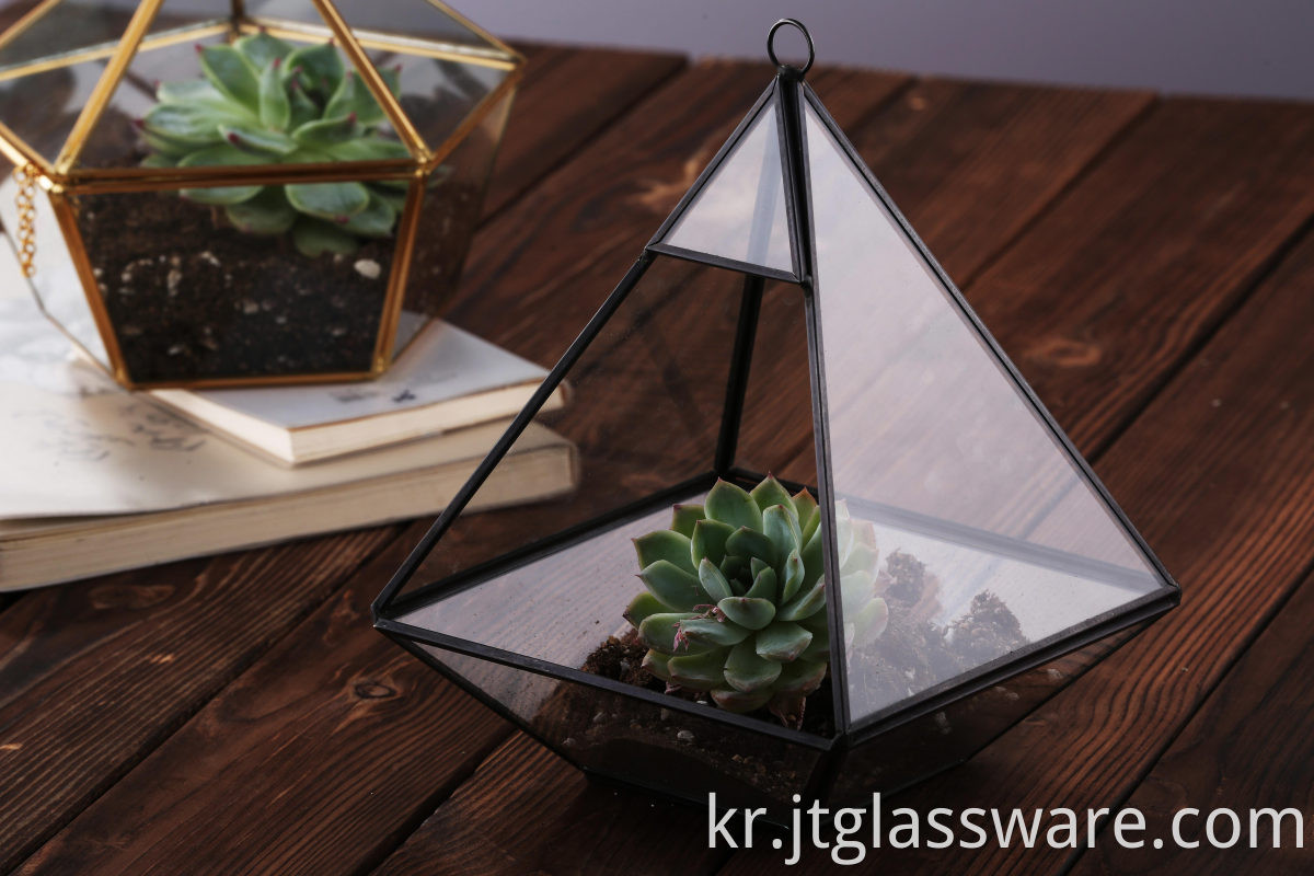 Indoor Glass Hanging Terrarium Wholesale